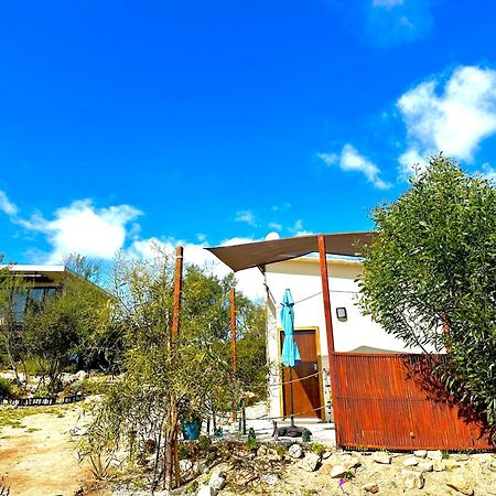 מלון San Marcos  Oasis 444 מראה חיצוני תמונה